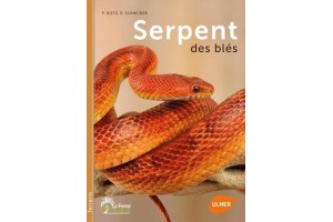 Serpent des blés